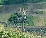 Burgruine Ehrenfels zwischen Rüdesheim und Assmannshausen